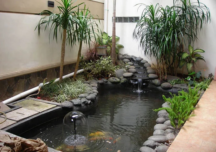 Jasa Pembuatan Kolam Ikan Koi Berpengalaman Dan Terpercaya Agro Tani Sejahtera