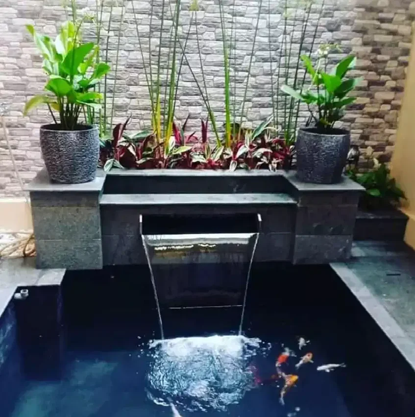 Jasa Pembuatan Kolam Ikan Koi Berpengalaman Dan Terpercaya Agro Tani Sejahtera