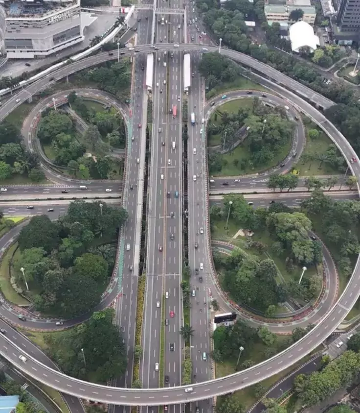 Kriteria Tanaman Pohon Untuk Peneduh Jalan Tol
