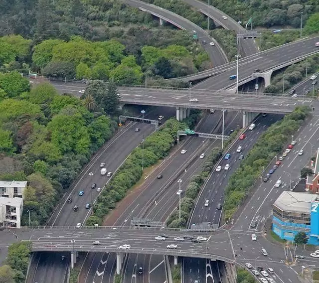 Pohon Peneduh Untuk Jalan Tol