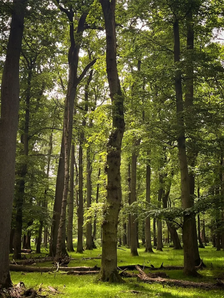 Manfaat Konservasi Lahan bagi Lingkungan dan Kehidupan
