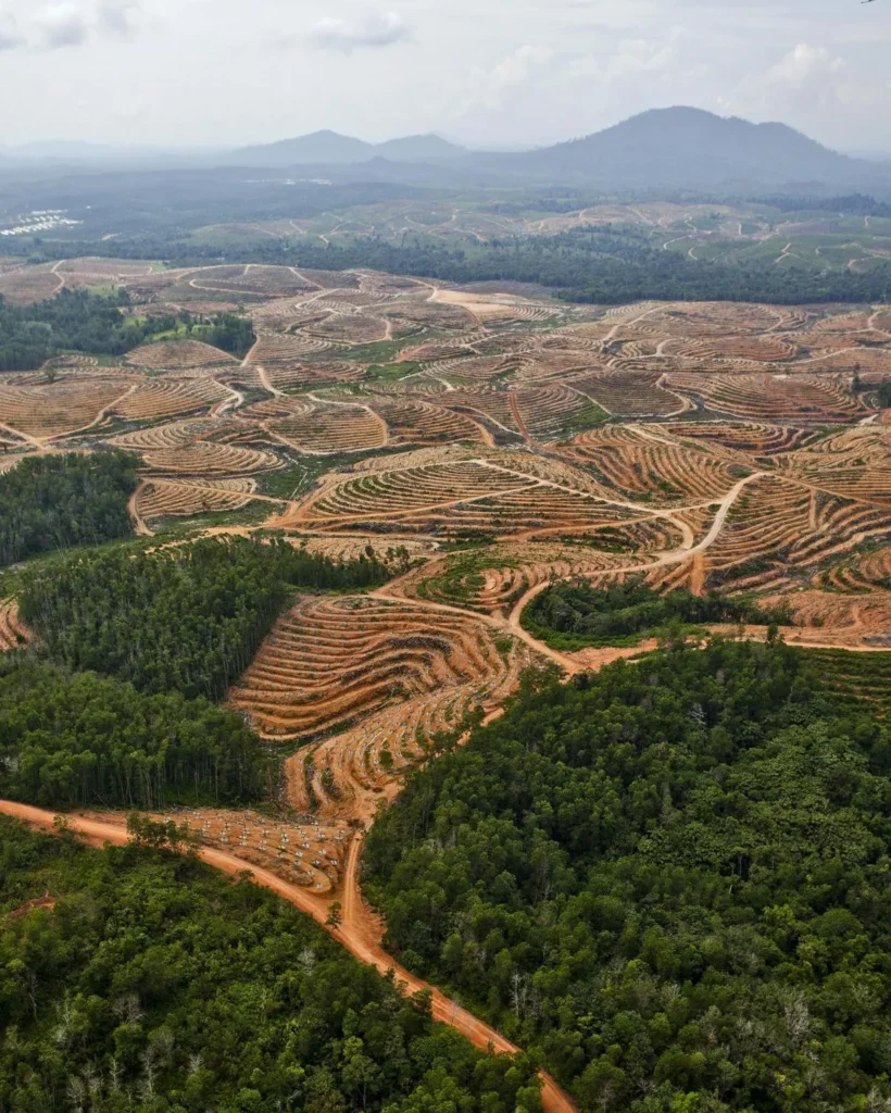 Tujuan Konservasi Lahan