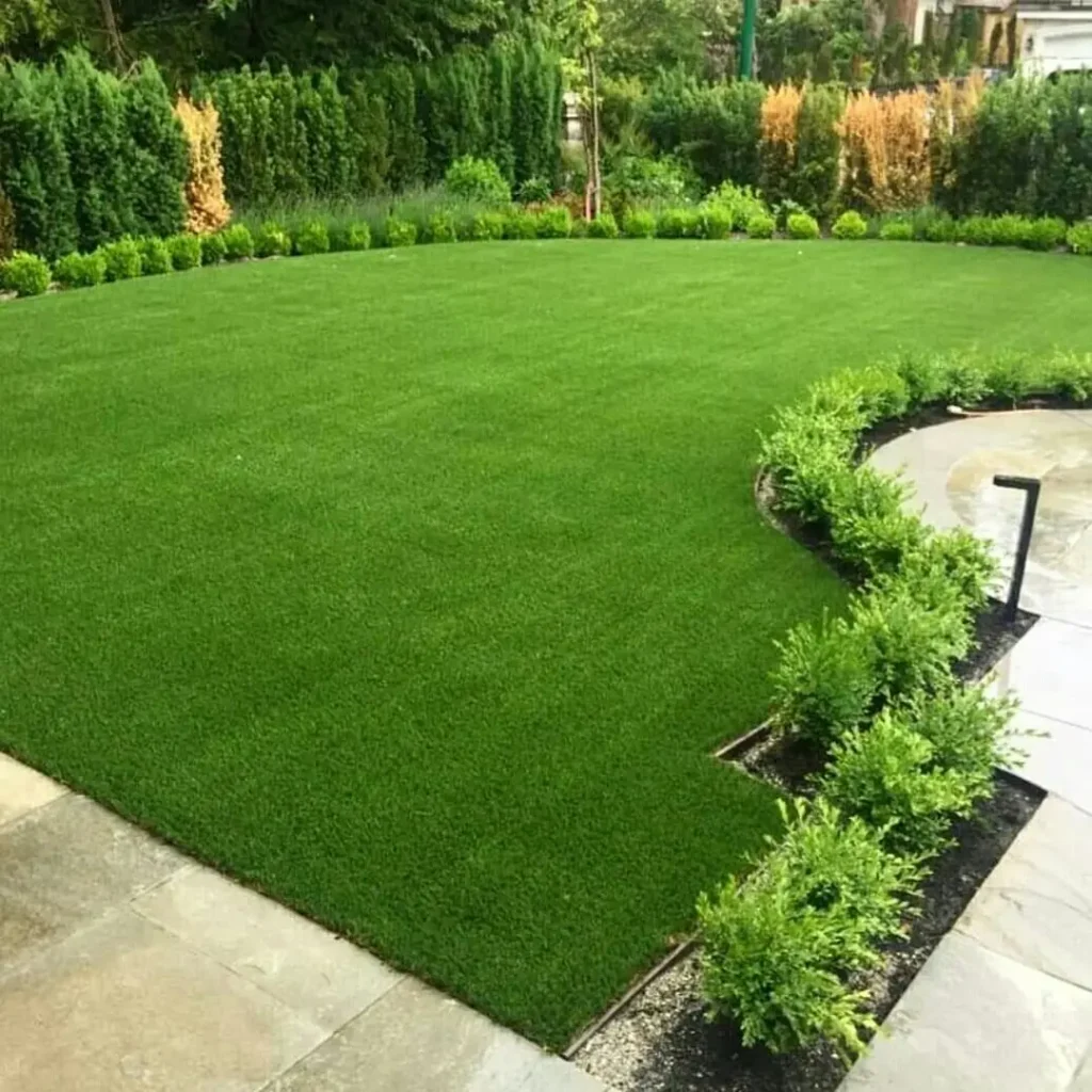 Manfaat Rumput Jepang untuk Taman dan Landscape