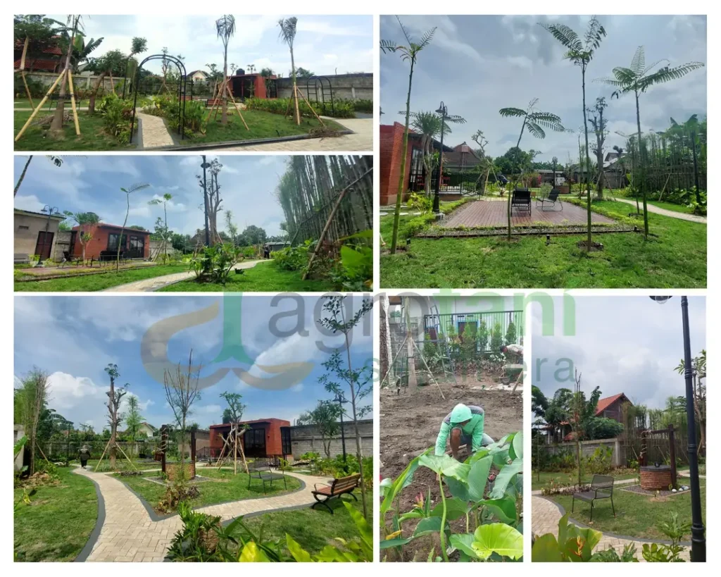 Penataan Taman Rumah dengan Beragam Tanaman Hias dan Pohon​