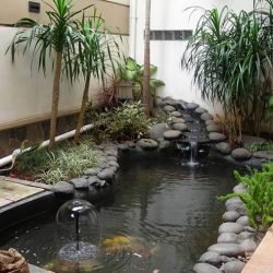 Jasa Pembuatan Kolam Ikan Koi Berpengalaman Dan Terpercaya Agro Tani Sejahtera