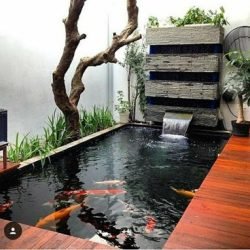 Jasa Pembuatan Kolam Ikan Koi Berpengalaman Dan Terpercaya Agro Tani Sejahtera2