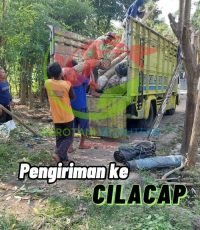 pengiriman cilacap