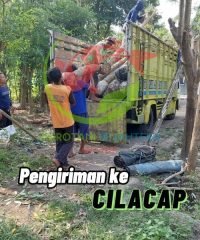 pengiriman cilacap